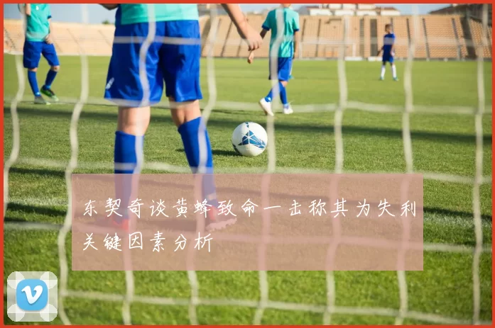 东契奇谈黄蜂致命一击称其为失利关键因素分析