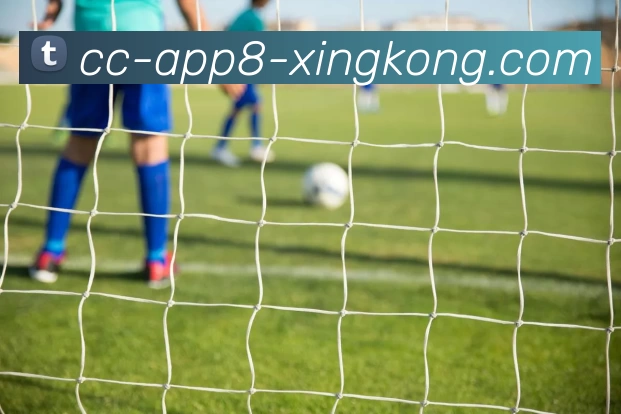 App 展示图