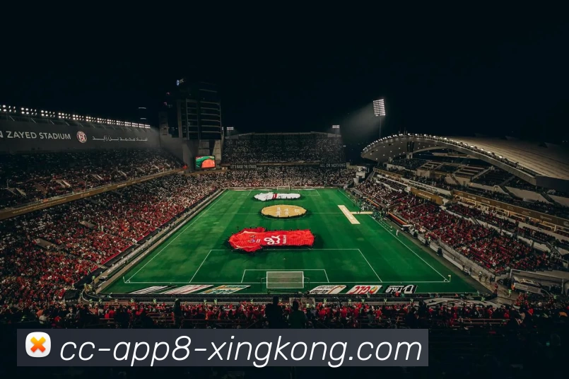 星空体育APP 封面图